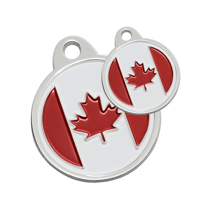 A cell phone displaying a dog named Milo's online pet profile. A dog tag with Milo's name and a link to their online pet profile.