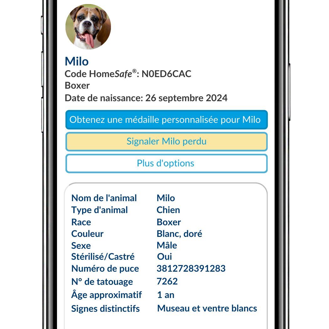 Un téléphone affichant le profil en ligne d’un chien nommé Milo.
