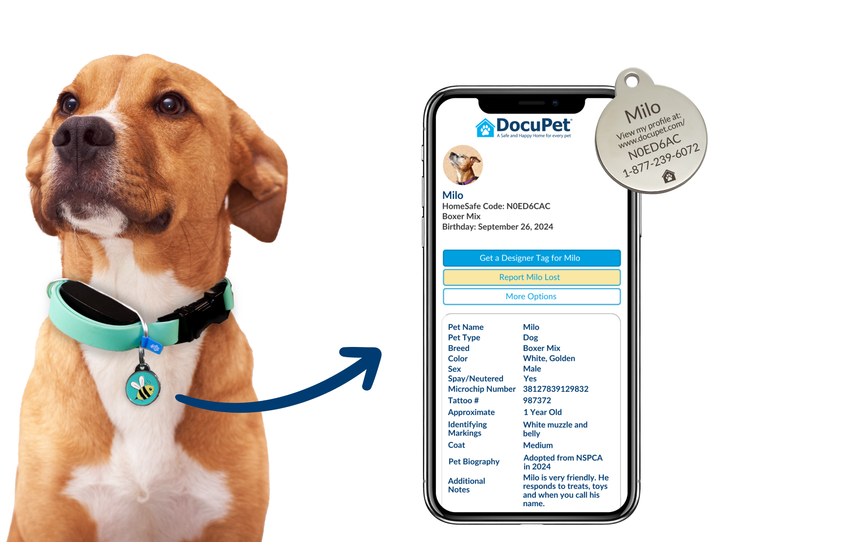 A dog wearing an identification tag is shown next to a phone that displays their online profile.