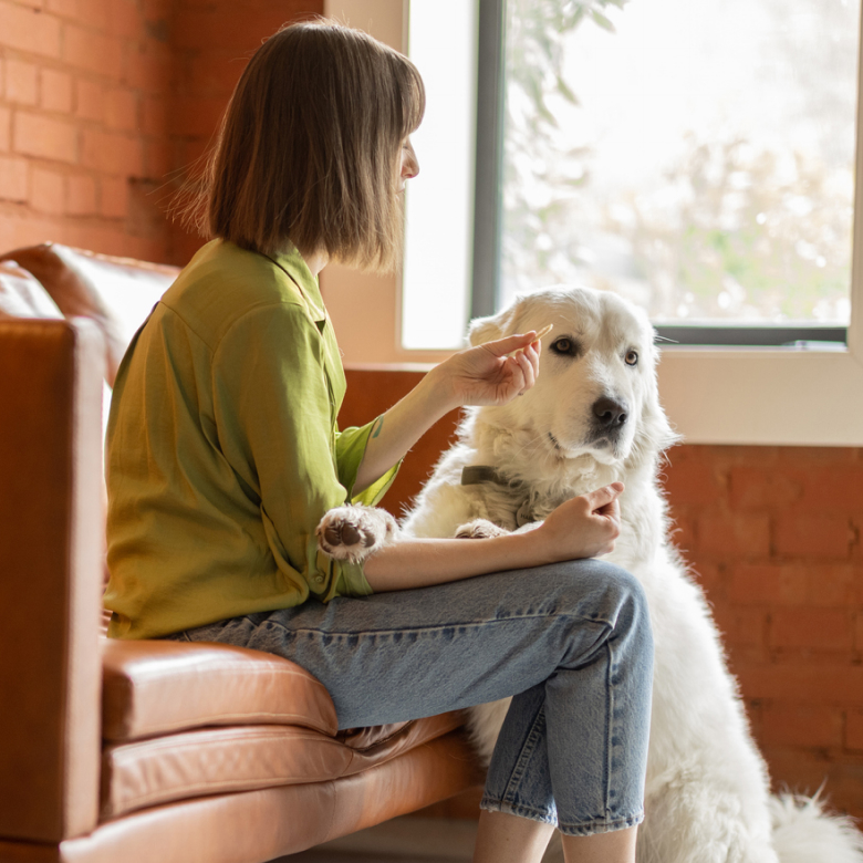 A woman sits on a couch holding a treat for her dog.