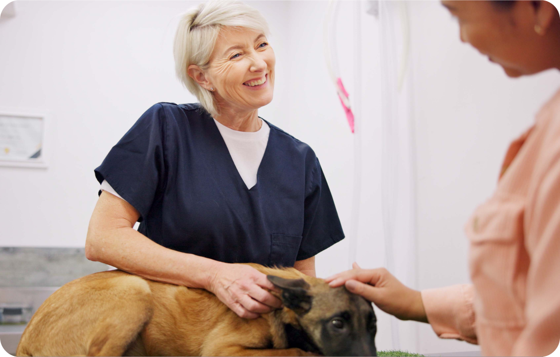 A veterinarian examines a dog with their owner.