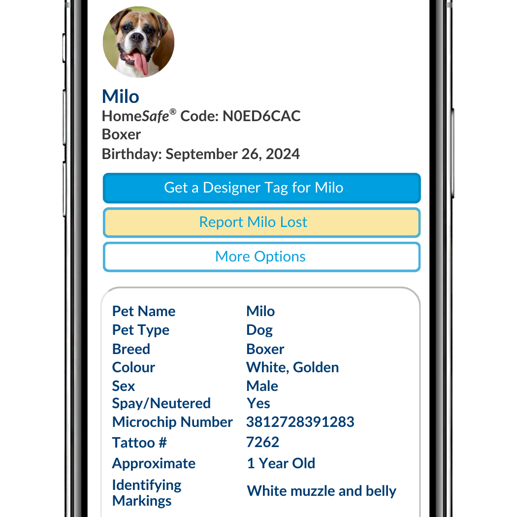 A phone displaying the online profile of a dog named Milo.