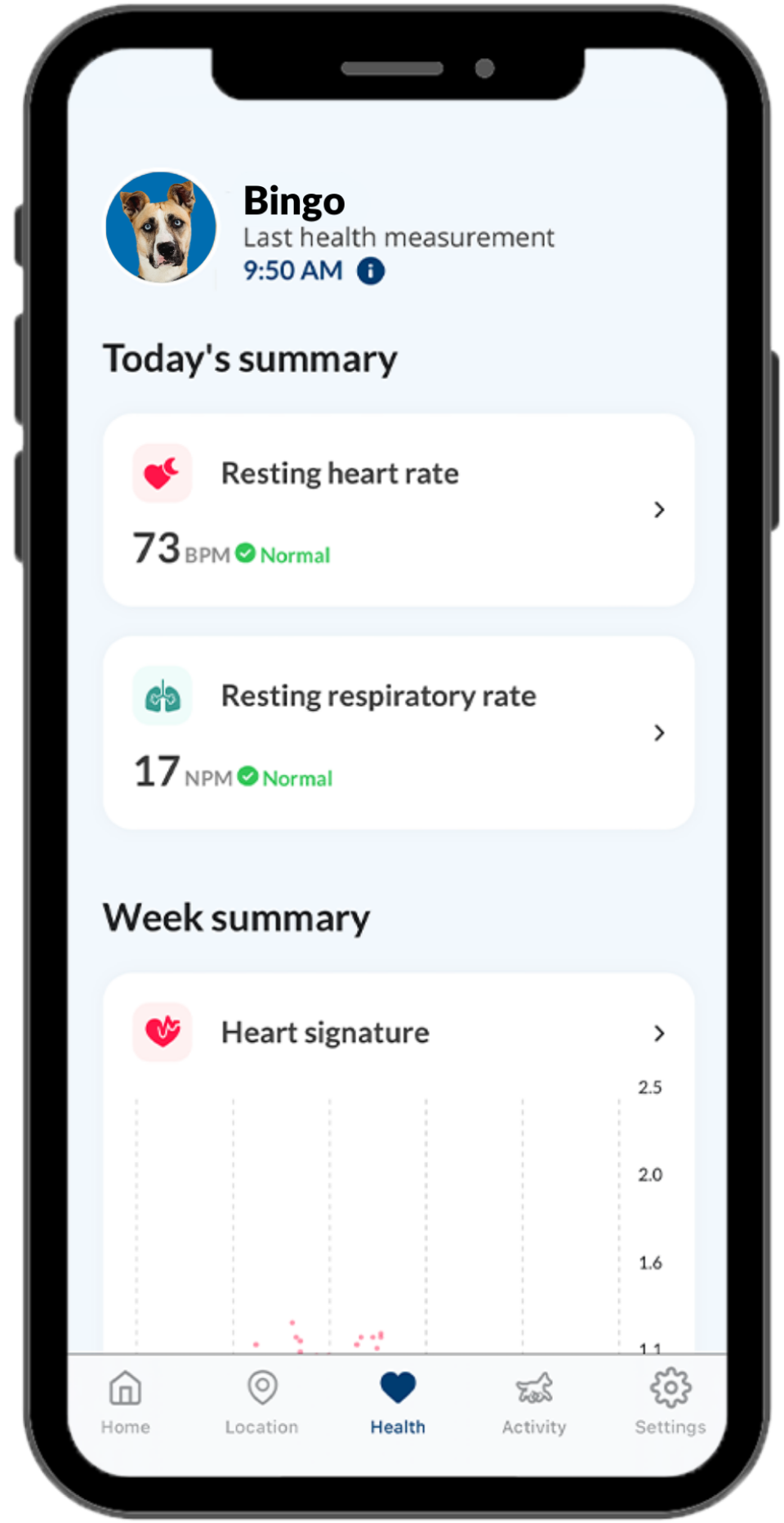 A phone displays a summary of a dog named Bingo's activity for the day.