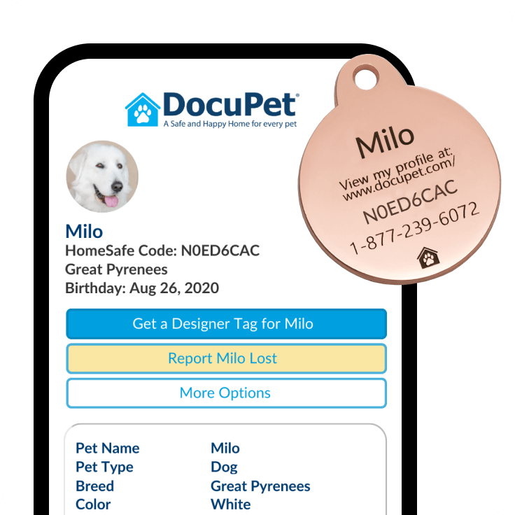 A dog tag in two sizes with the Canadian flag design.