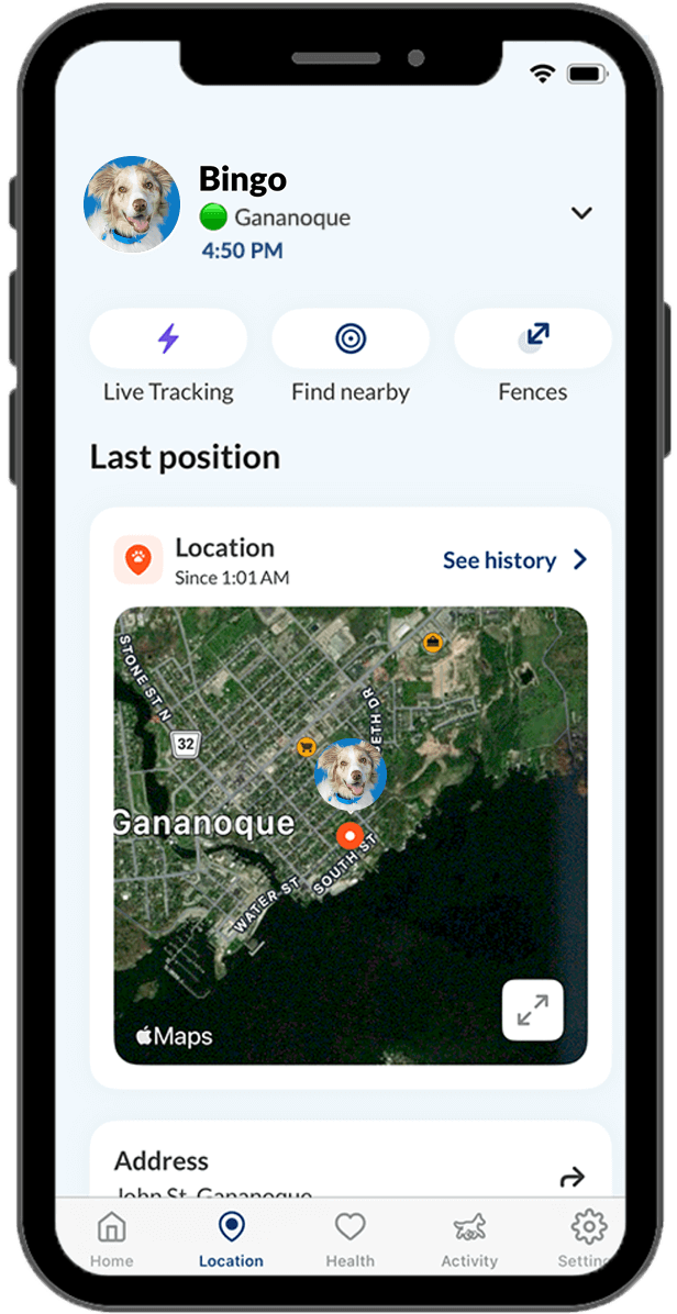 A dog who is wearing a Smart Tracker is shown on the pet owner's smartphone indicating the current location on a map.