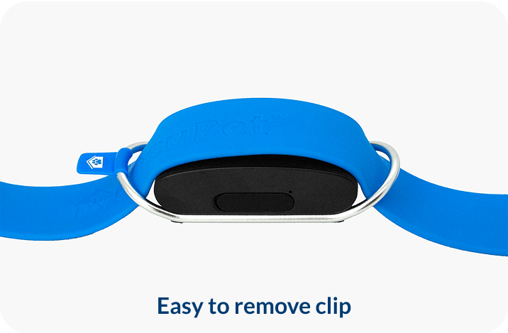 A photo showing the smart tracker can be easily attached or removed from a pet's collar.