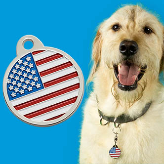 Custom Personalized Pet ID Tag for Dog and Cat Collars COPILOT 