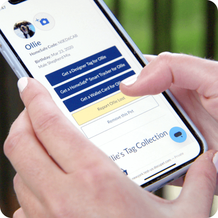 A cell phone displaying a dog named Ollie's online pet profile. A thumb hovers over a button that says report Ollie Lost.