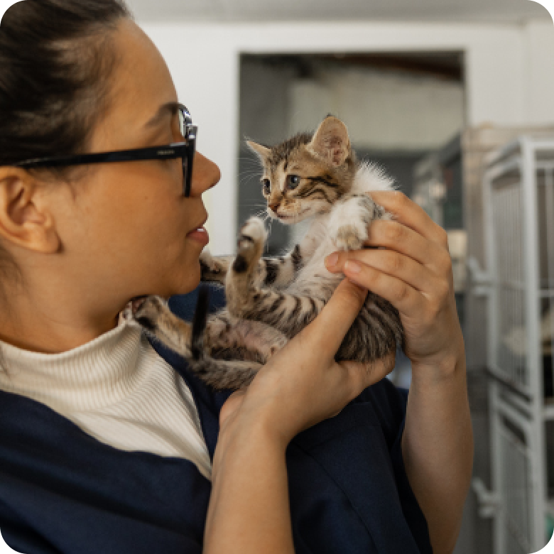A woman holds a kitten in an animal shelter