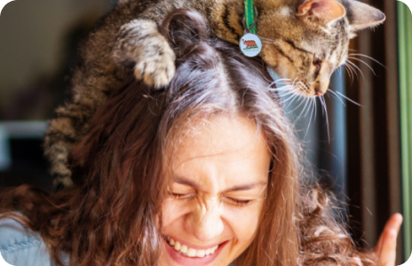 A woman is laughing while a cat climbs on her head