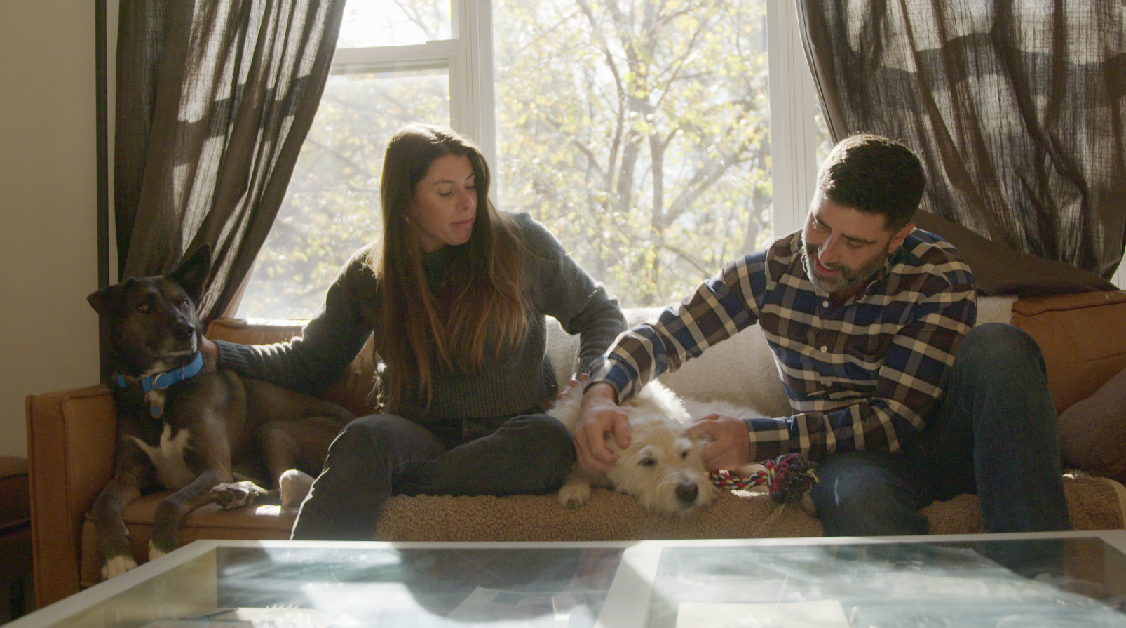 A couple with their two dogs on the couch.