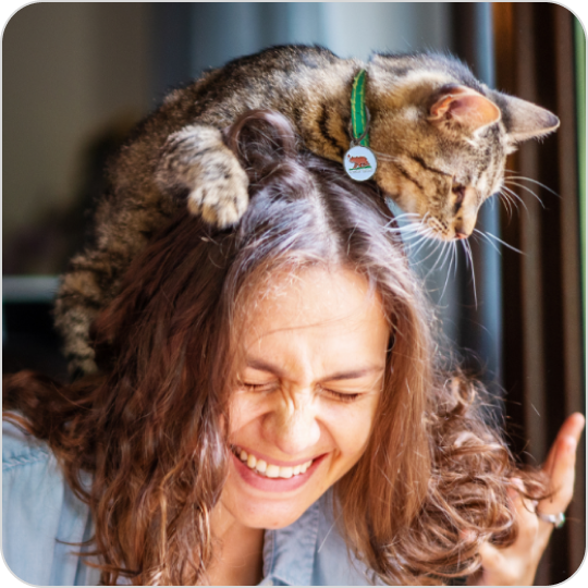 A woman is laughing while a cat climbs on her head