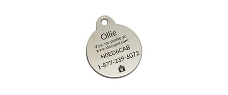 A DocuPet tag for a dog named Ollie.