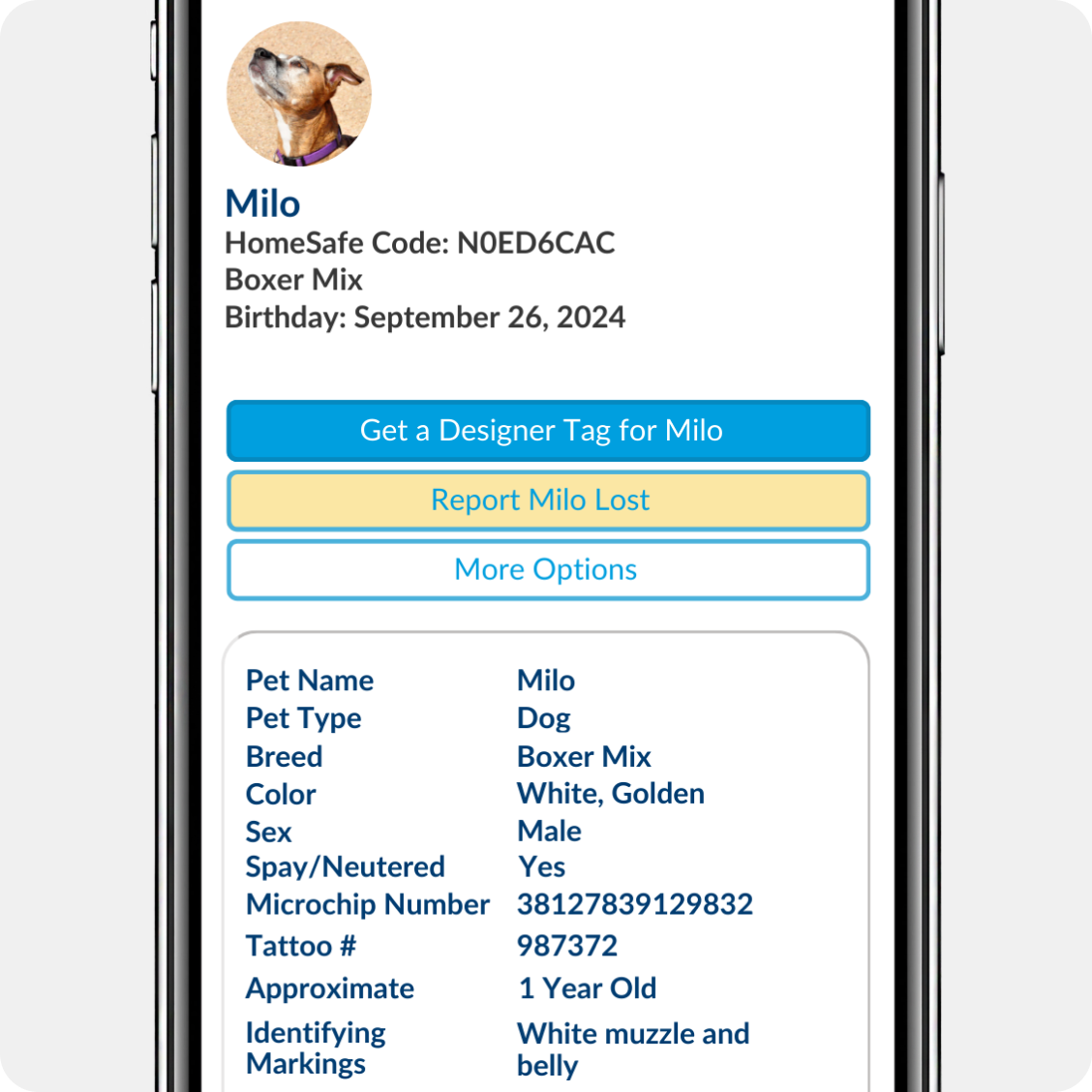 A phone displaying the online profile of a dog named Milo.