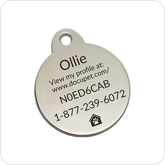 A DocuPet tag for a dog named Ollie.