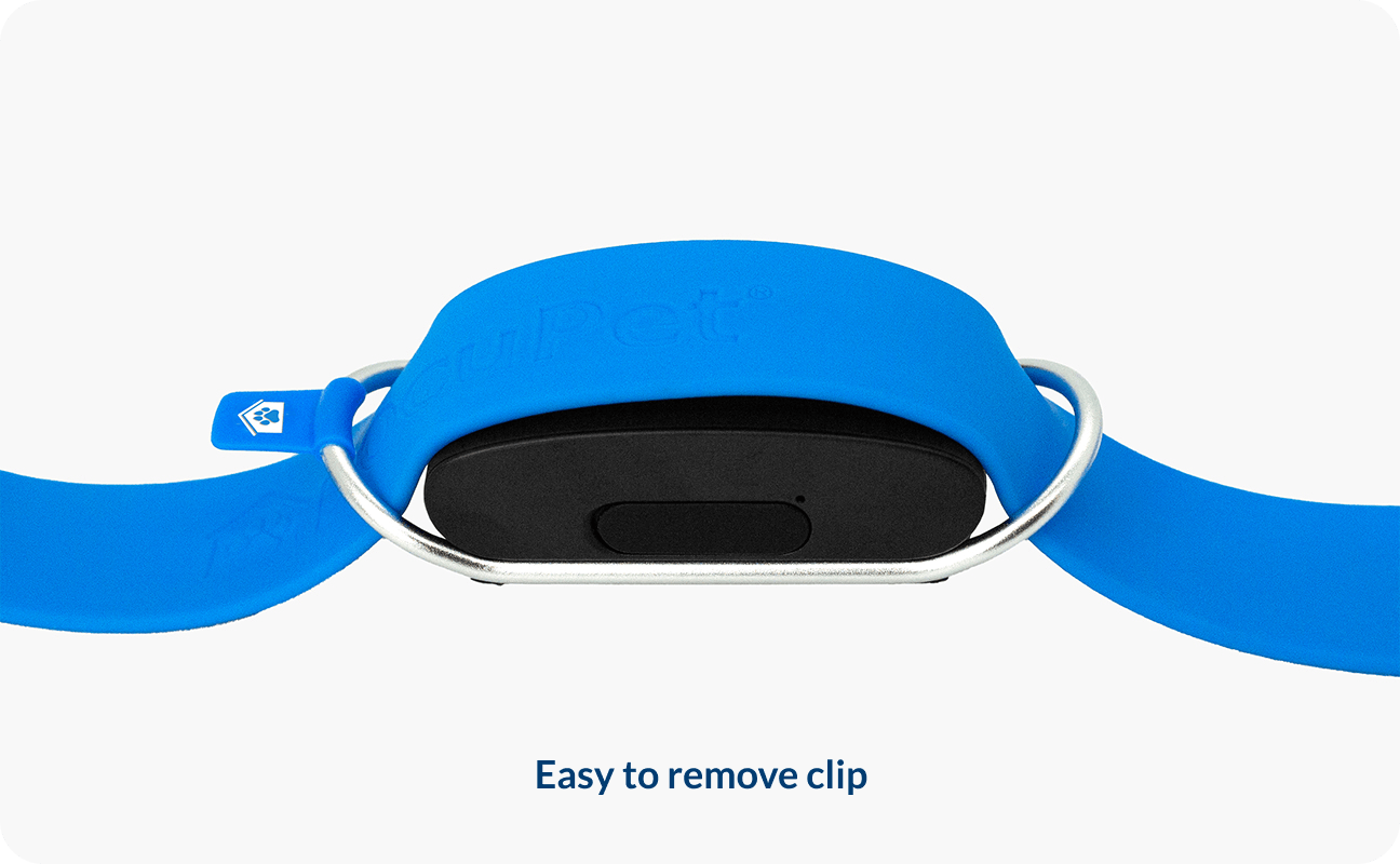 A photo showing the smart tracker can be easily attached or removed from a pet's collar.