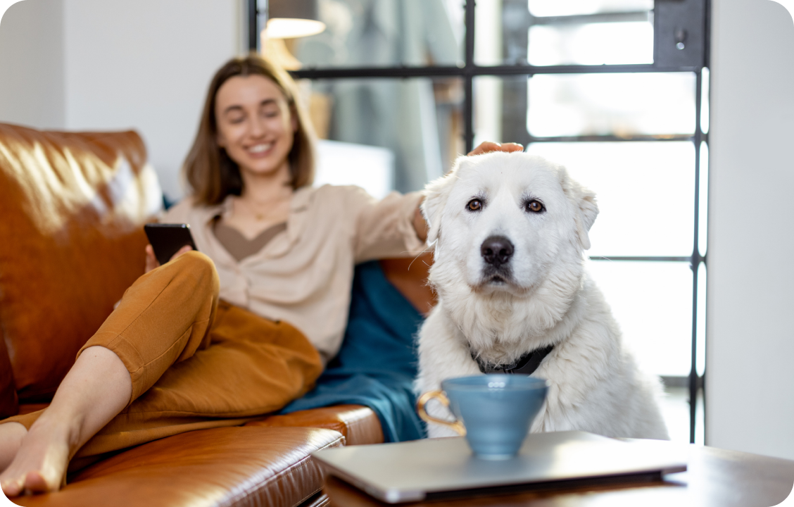 A woman relaxes on a couch, holding her phone and petting her dog.