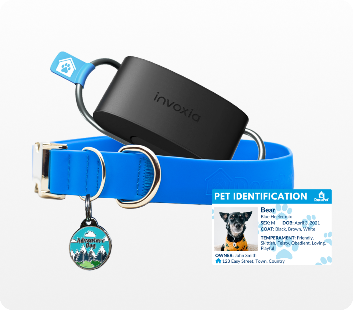 A collection of items for ensuring your dog will be returned if they are lost: A smart tracker, a dog tag and a pet identification card.