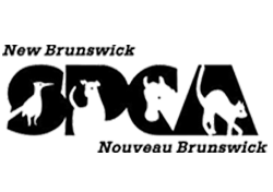 The New Brunswick SPCA