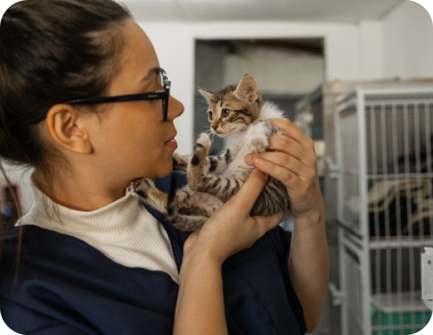 A woman holds a kitten in an animal shelter