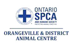 Orangeville SPCA