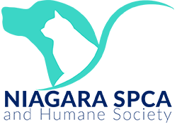 The Niagara SPCA & Humane Society